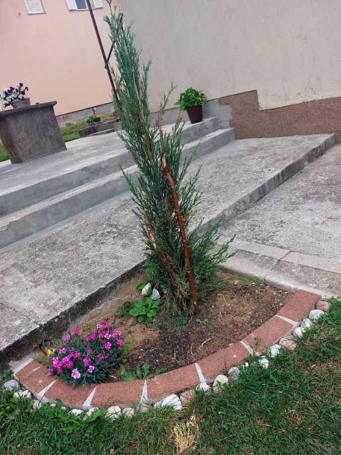 Apartman Rita Perusic Dış mekan fotoğraf