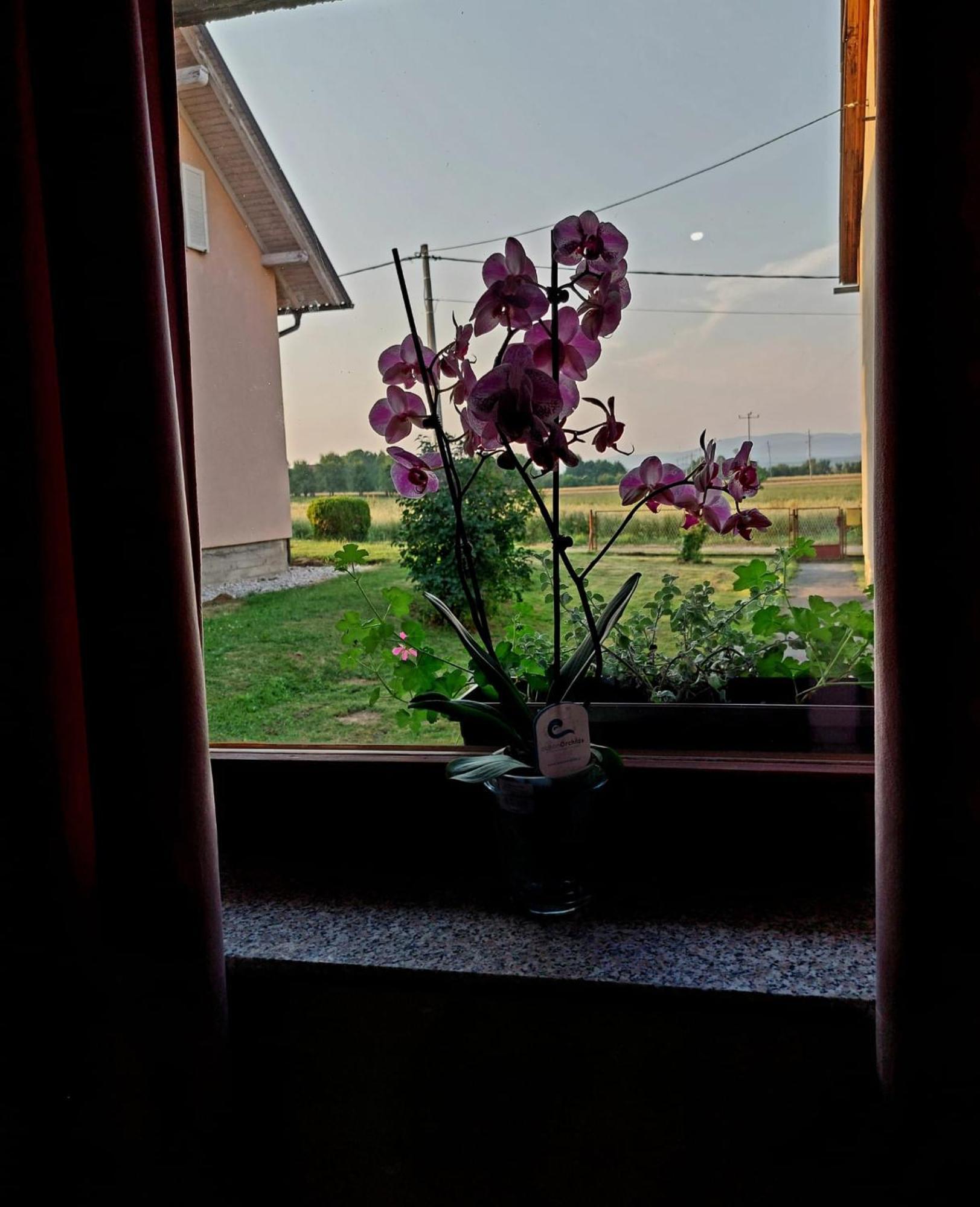 Apartman Rita Perusic Dış mekan fotoğraf