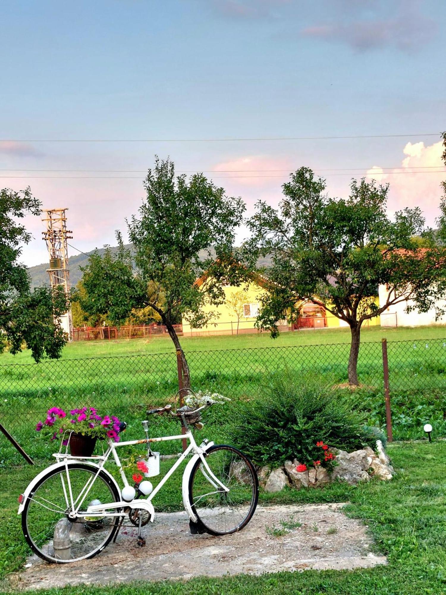 Apartman Rita Perusic Dış mekan fotoğraf
